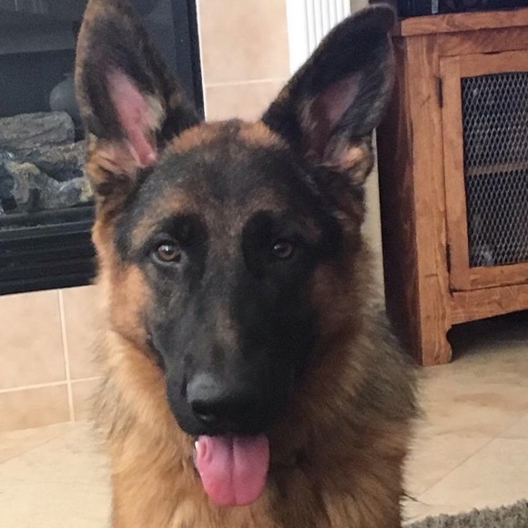 Meet your Posher, Melisa - Picture 1 of 1